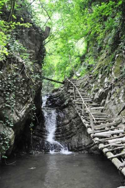 Cumayeri Dokuzdeğirmen Köyü